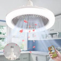 Luz con Ventilador